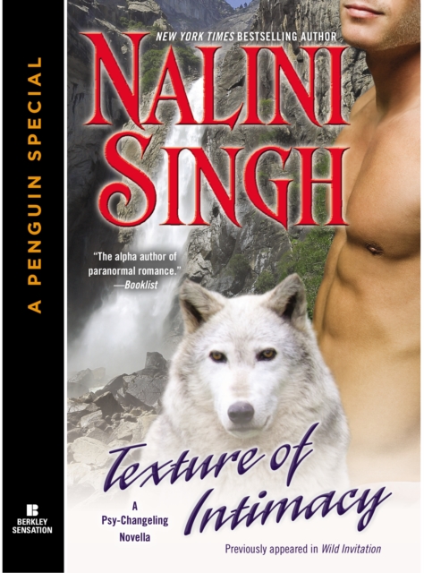 Book Cover for Texture of Intimacy by Singh, Nalini