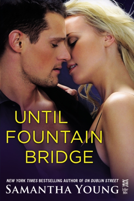 Book Cover for Until Fountain Bridge by Young, Samantha