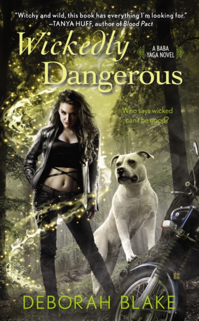 Book Cover for Wickedly Dangerous by Deborah Blake