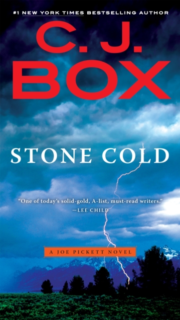 Book Cover for Stone Cold by C. J. Box