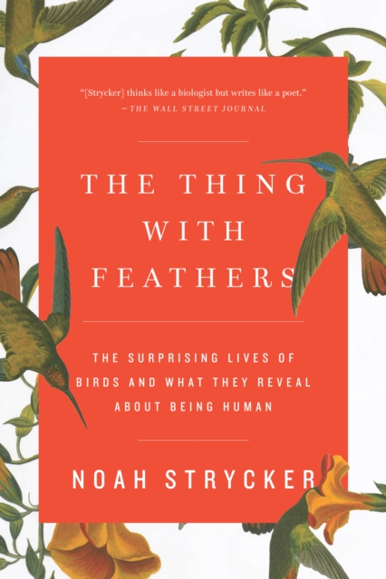 Book Cover for Thing with Feathers by Noah Strycker