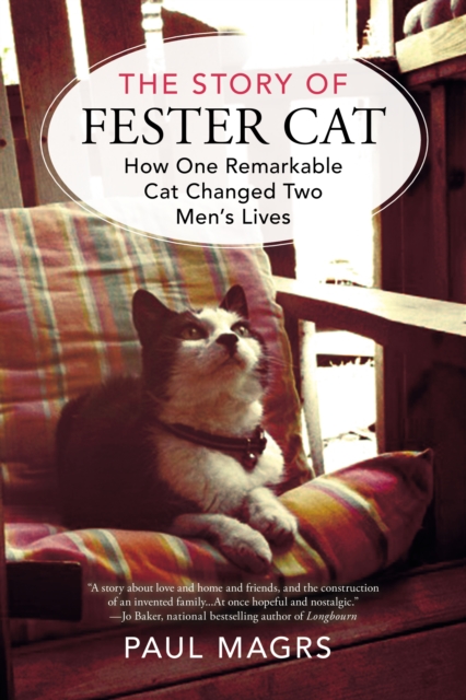 Book Cover for Story of Fester Cat by Paul Magrs