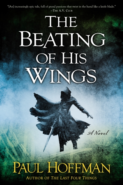 Book Cover for Beating of His Wings by Paul Hoffman