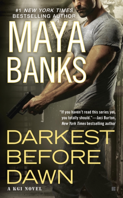 Book Cover for Darkest Before Dawn by Maya Banks