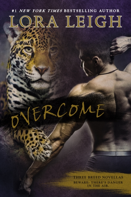 Book Cover for Overcome by Lora Leigh