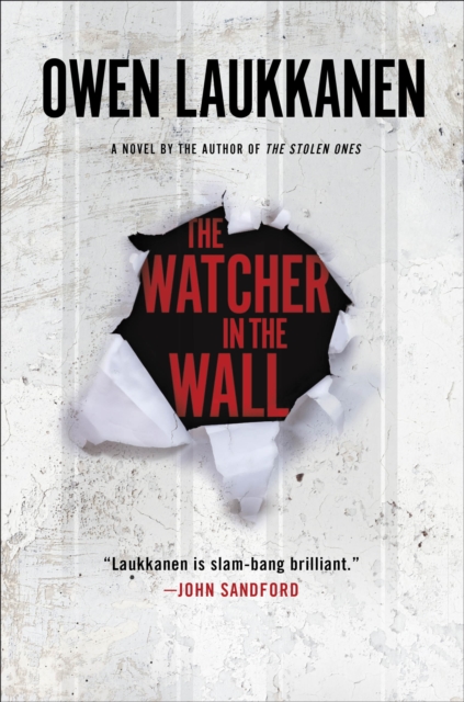 Book Cover for Watcher in the Wall by Owen Laukkanen