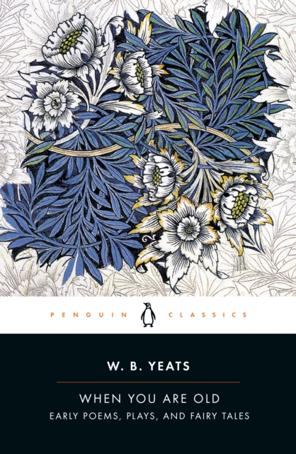 Book Cover for When You Are Old by William Butler Yeats