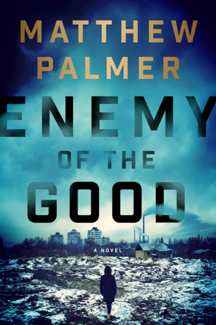 Book Cover for Enemy of the Good by Palmer, Matthew