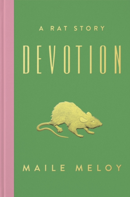 Book Cover for Devotion by Maile Meloy