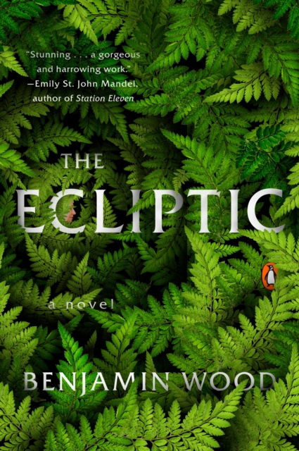 Book Cover for Ecliptic by Benjamin Wood