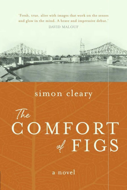 Book Cover for Comfort of Figs by Simon Esmonde Cleary