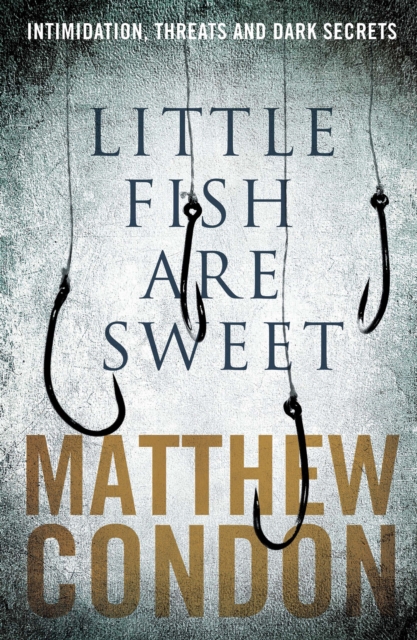 Book Cover for Little Fish Are Sweet by Matthew Condon