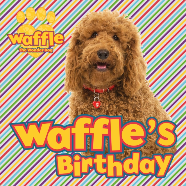 Book Cover for Waffle''s Birthday by Scholastic