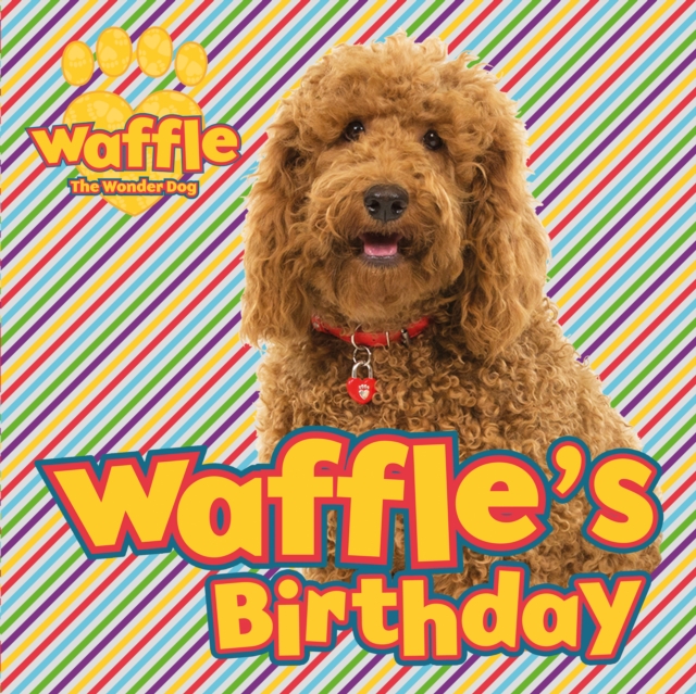 Book Cover for Waffle''s Birthday by , Scholastic