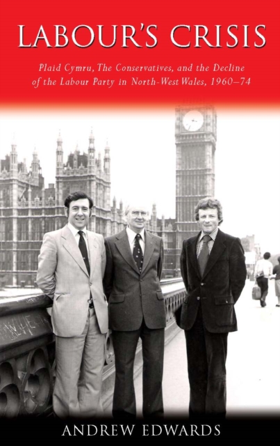 Book Cover for Labour's Crisis by Andrew Edwards