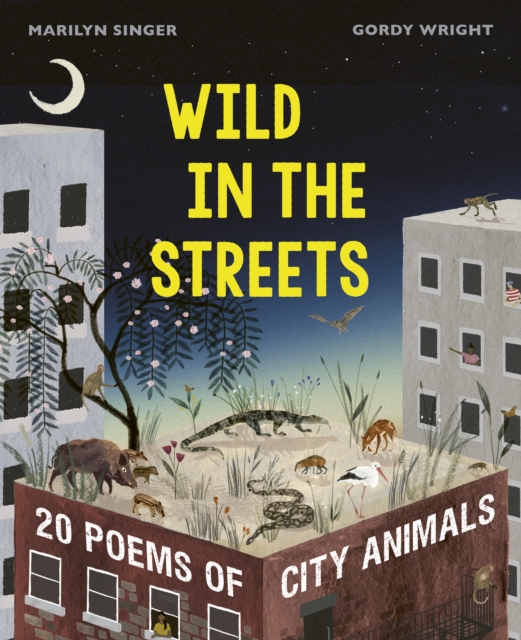 Book Cover for Wild in the Streets by Singer, Marilyn