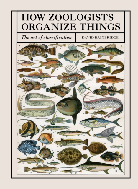 Book Cover for How Zoologists Organize Things by David Bainbridge