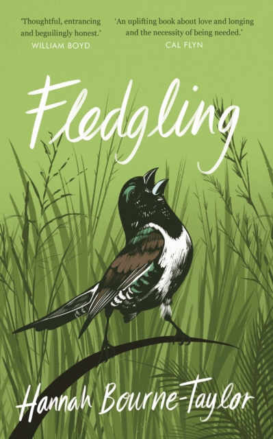 Book Cover for Fledgling by Bourne-Taylor, Hannah