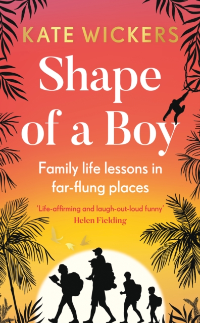 Book Cover for Shape of a Boy by Kate Wickers