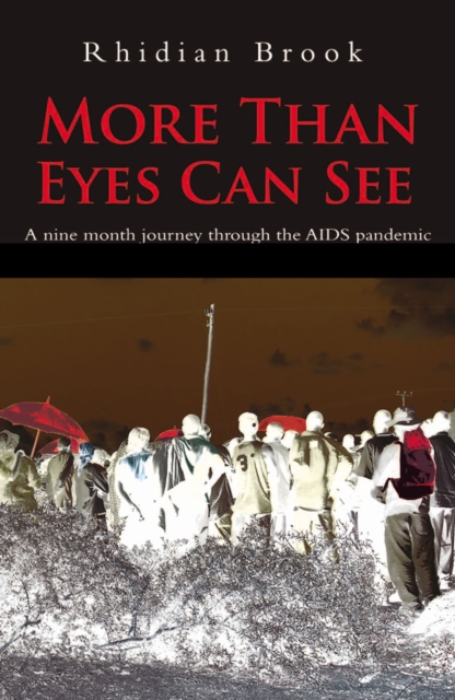 Book Cover for More Than Eyes Can See by Rhidian Brook