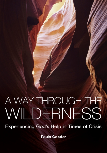 Book Cover for Way Through the Wilderness by Paula Gooder