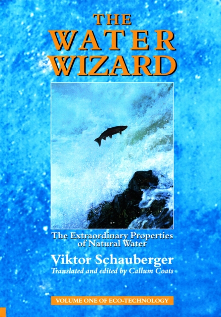 Book Cover for Water Wizard - The Extraordinary Properties of Natural Water by Viktor Schauberger