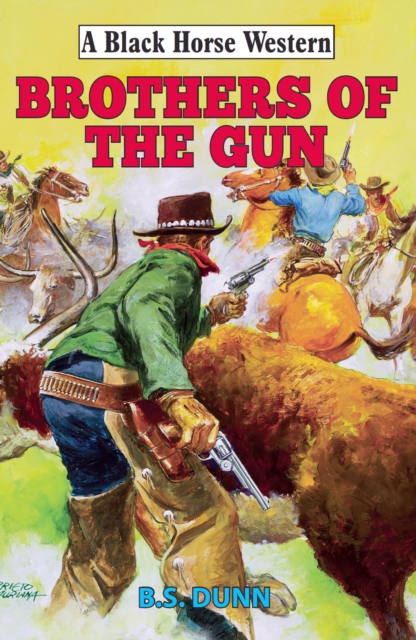 Book Cover for Brothers of The Gun by B.S. Dunn