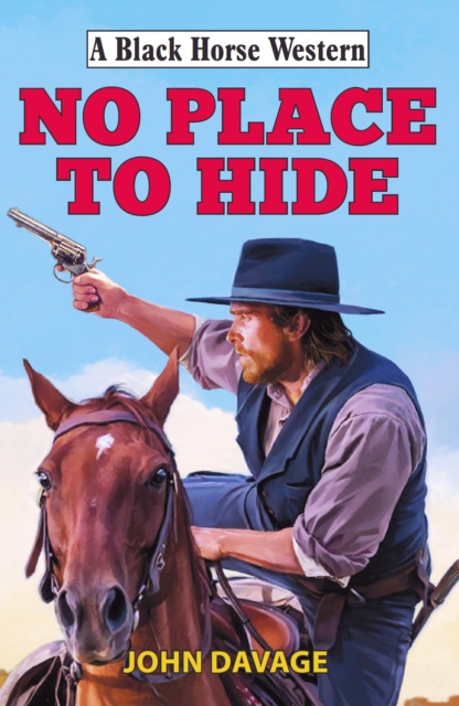 Book Cover for No Place to Hide by John Davage