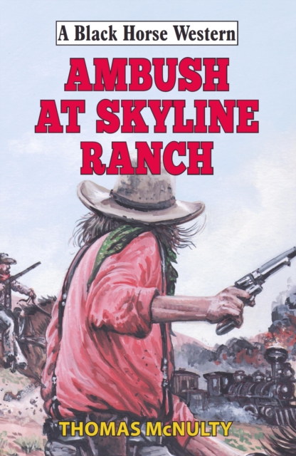 Book Cover for Ambush at Skyline Ranch by Thomas McNulty