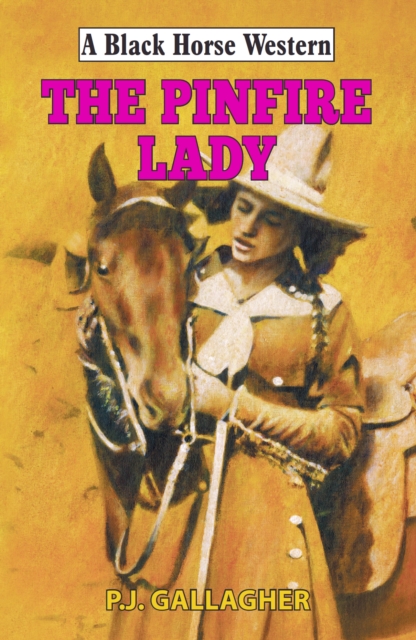 Book Cover for Pinfire Lady by P J Gallagher
