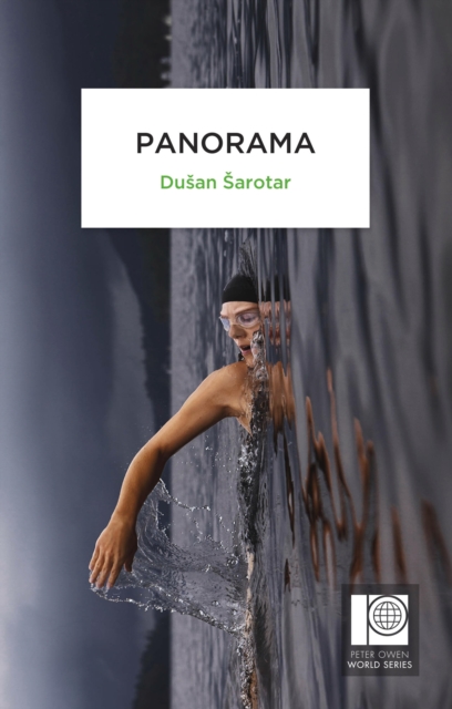 Book Cover for Panorama by Dusan Sarotar