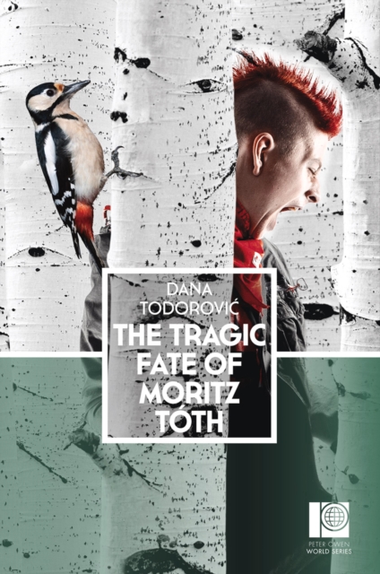 Book Cover for Tragic Fate of Moritz Toth by Dana Todorovic