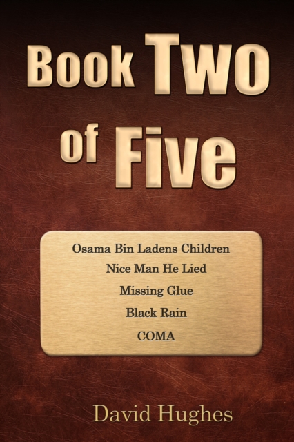 Book Cover for Book Two of Five by David Hughes