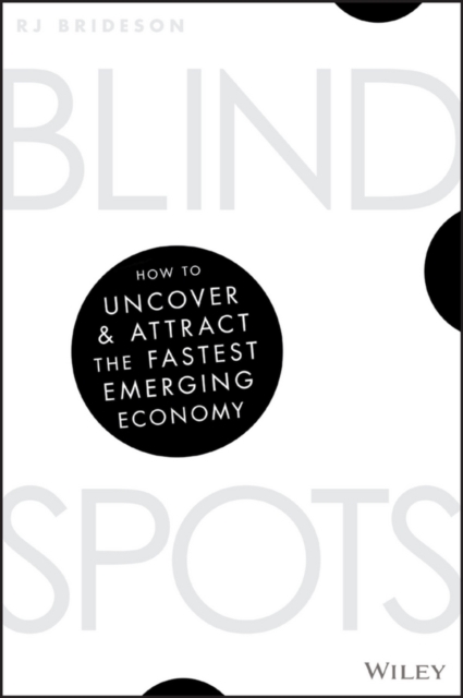 Book Cover for Blind Spots by R. J. Brideson