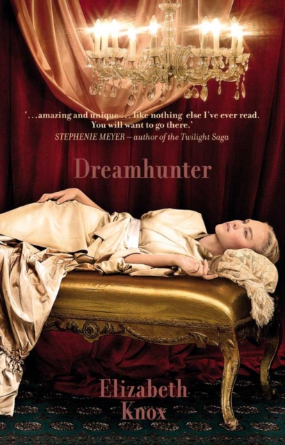 Book Cover for Dreamhunter by Elizabeth Knox