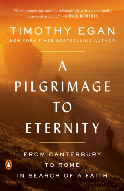 Book Cover for Pilgrimage to Eternity by Egan, Timothy