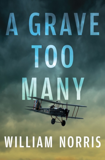 Book Cover for Grave Too Many by William Norris