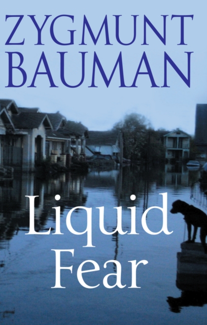 Book Cover for Liquid Fear by Bauman, Zygmunt