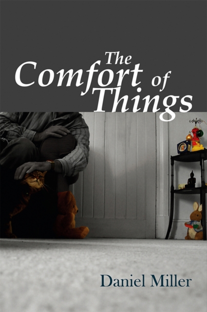 Book Cover for Comfort of Things by Daniel Miller