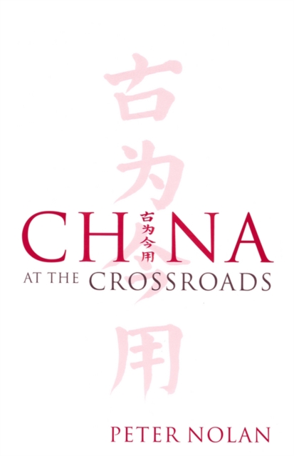 Book Cover for China at the Crossroads by Peter Nolan