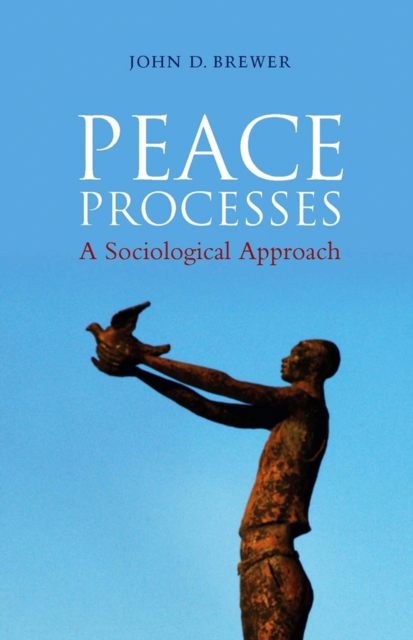 Book Cover for Peace Processes by Brewer, John D.