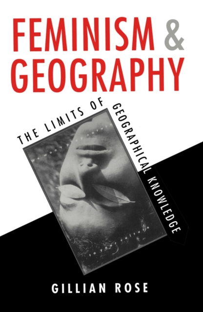 Book Cover for Feminism and Geography by Gillian Rose