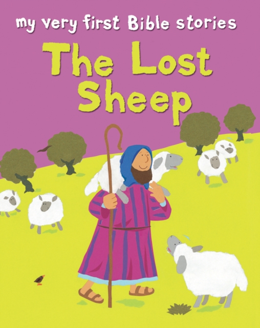 Book Cover for Lost Sheep by Rock, Lois