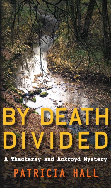 Book Cover for By Death Divided by Hall, Patricia