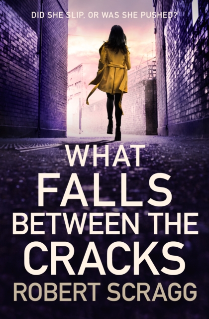 Book Cover for What Falls Between the Cracks by Scragg, Robert