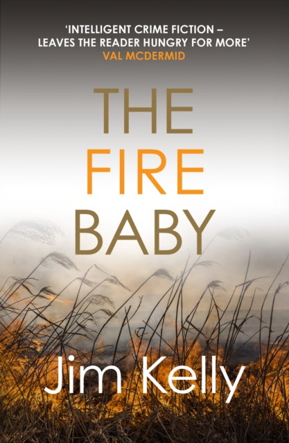 Book Cover for Fire Baby by Kelly, Jim