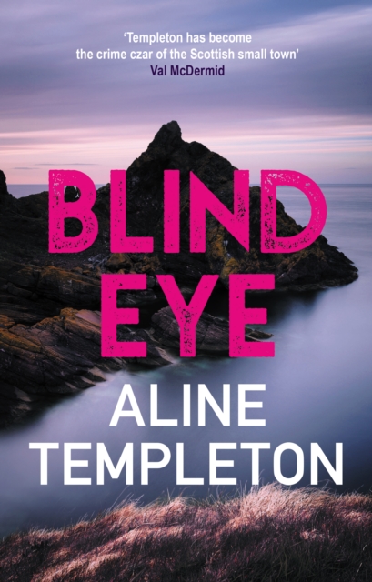 Book Cover for Blind Eye by Aline Templeton