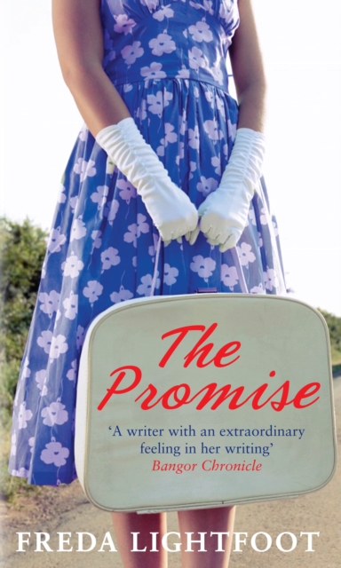 Book Cover for Promise by Freda Lightfoot