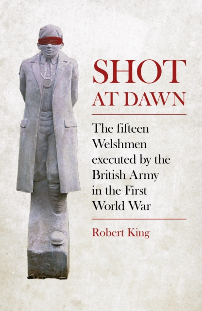 Book Cover for Shot at Dawn by Robert King