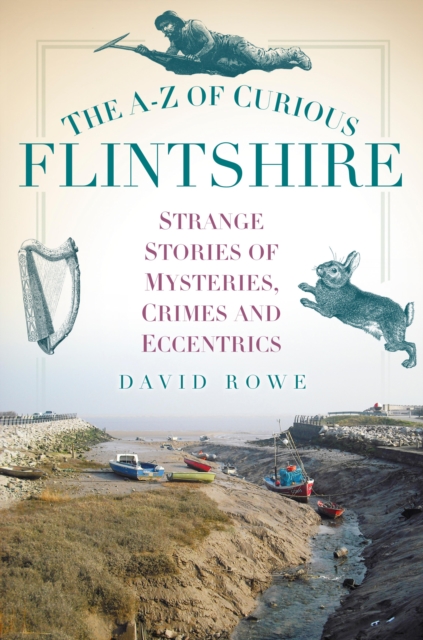 Book Cover for A-Z of Curious Flintshire by David Rowe